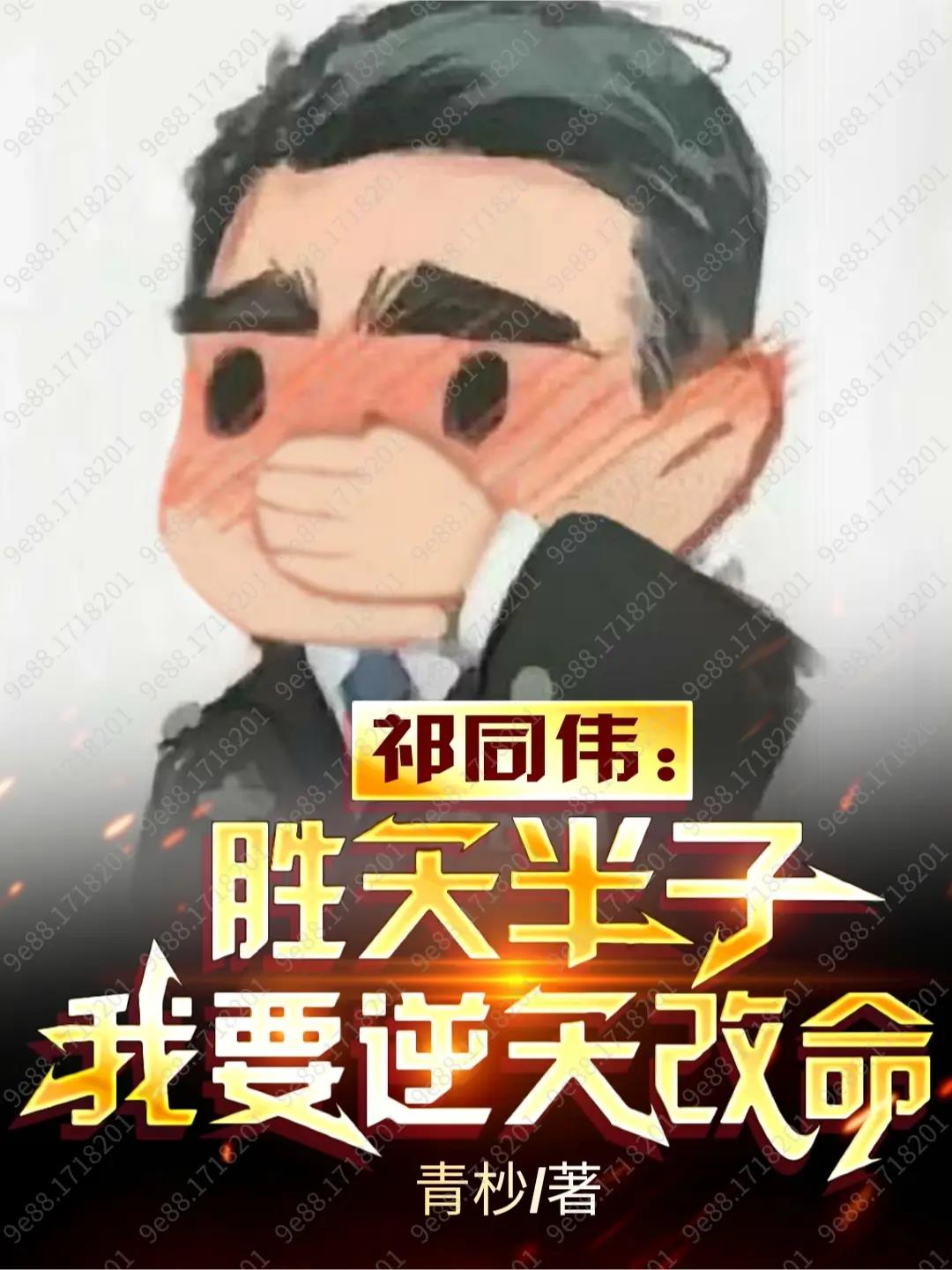 顾长青小说